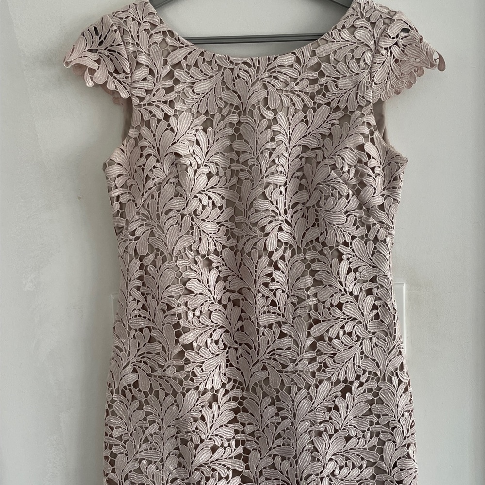 Eliza J Embroidered Powder Pink Lace Overlay Cocktail Dress - Size 4 - Picture 13 of 16